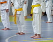 8 Solid Strategies to Increase Martial Arts Enrollment